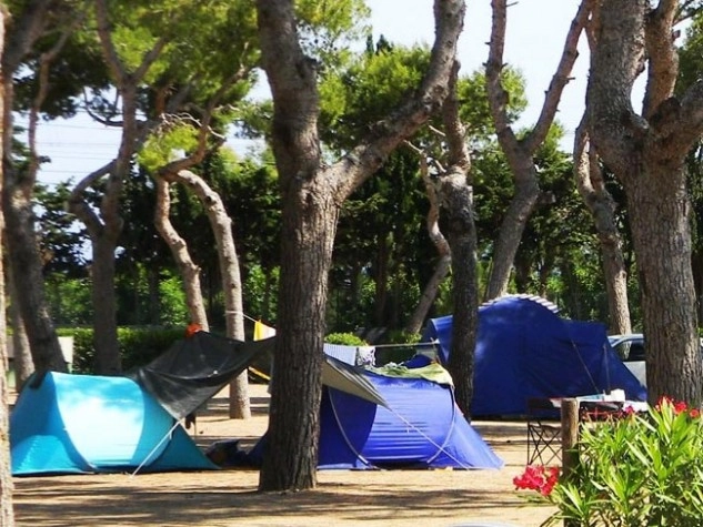 zobacz camping - zdjęcie 4
