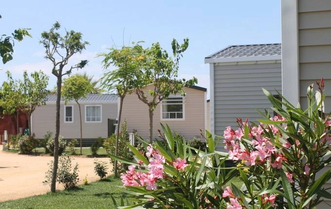 zobacz camping - zdjęcie 35