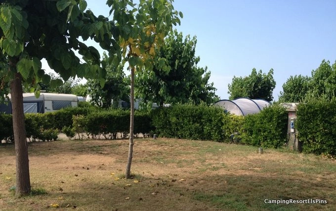 zobacz camping - zdjęcie 28