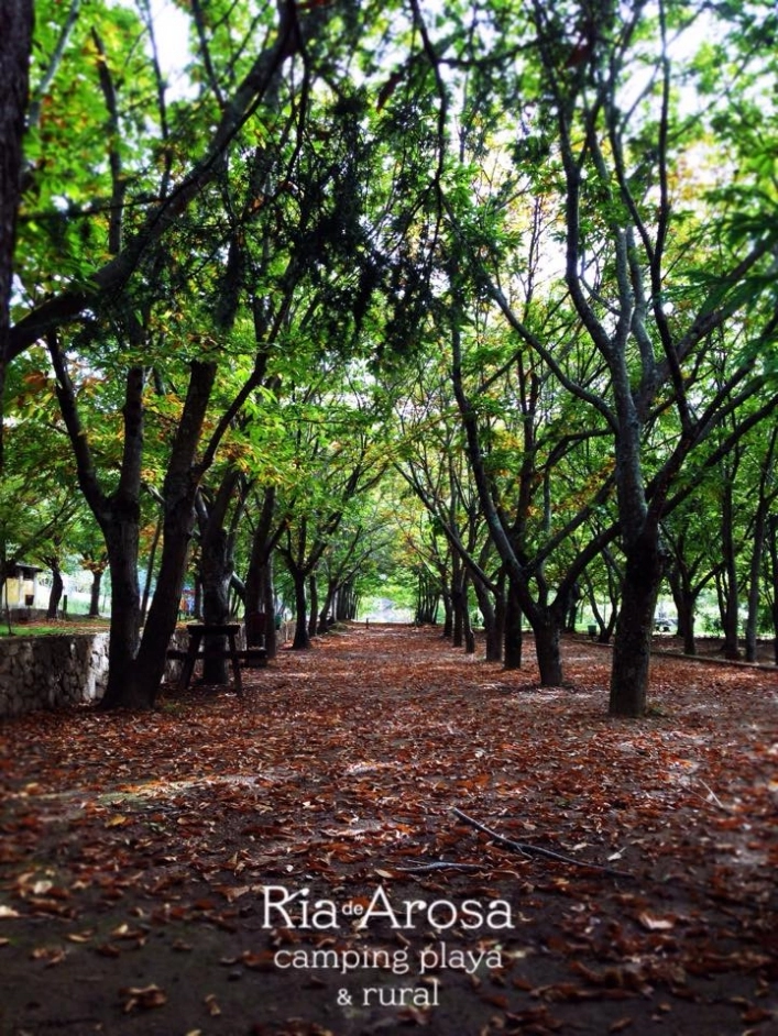 Camping Ría De Arosa - zdjęcie 4