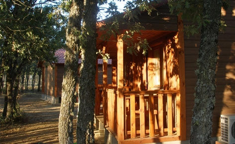 zobacz camping - zdjęcie 11