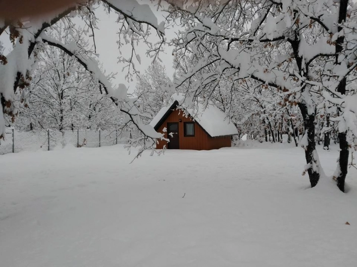 zobacz camping - zdjęcie 10