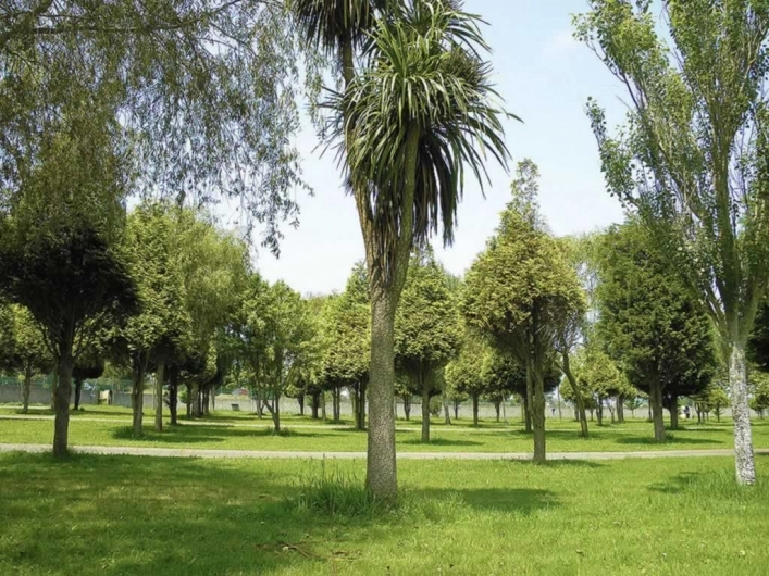 zobacz camping - zdjęcie 9