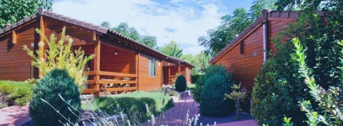 zobacz camping - zdjęcie 9