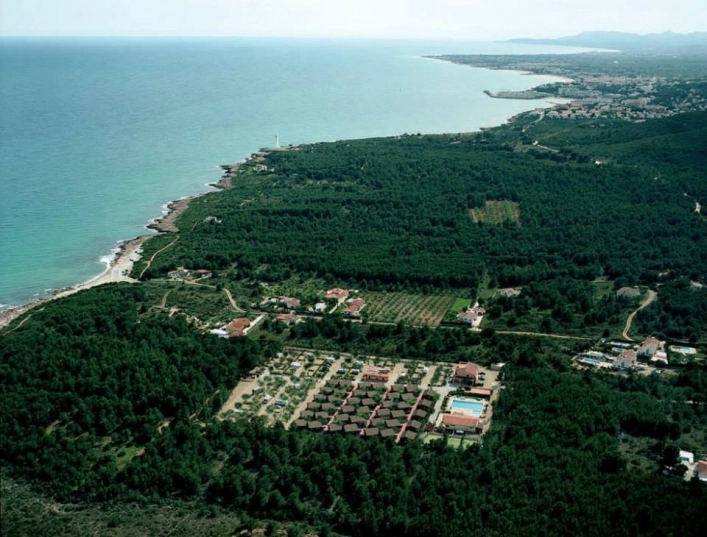 zobacz camping - zdjęcie 6