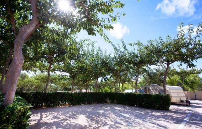 zobacz camping - zdjęcie 4