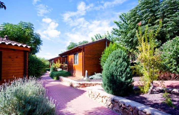 zobacz camping - zdjęcie 1