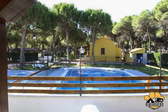 zobacz camping - zdjęcie 21