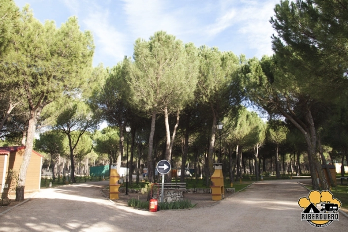 zobacz camping - zdjęcie 8