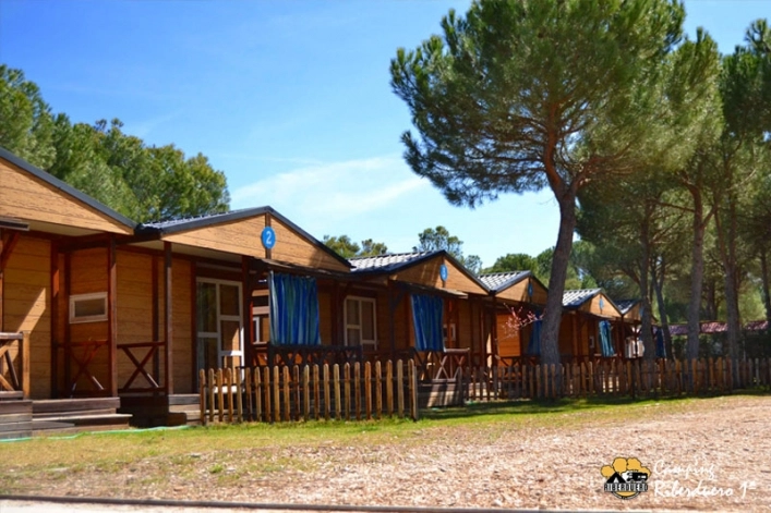 zobacz camping - zdjęcie 7