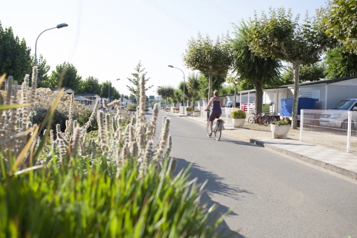 zobacz camping - zdjęcie 26