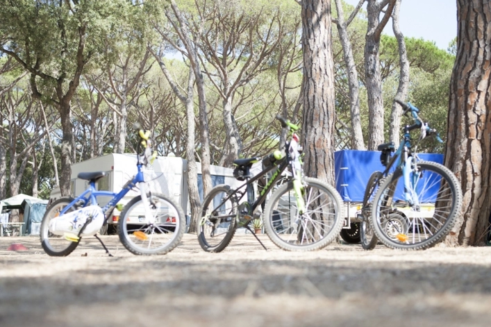 zobacz camping - zdjęcie 19