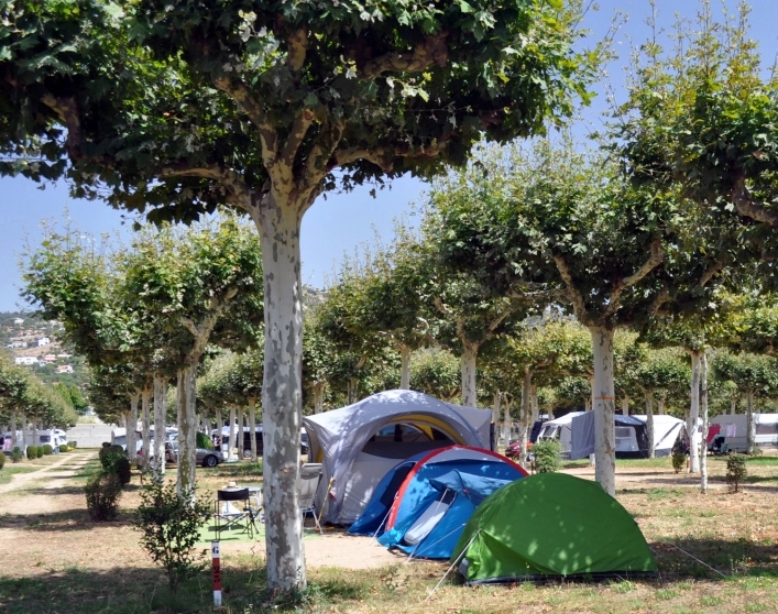 zobacz camping - zdjęcie 16