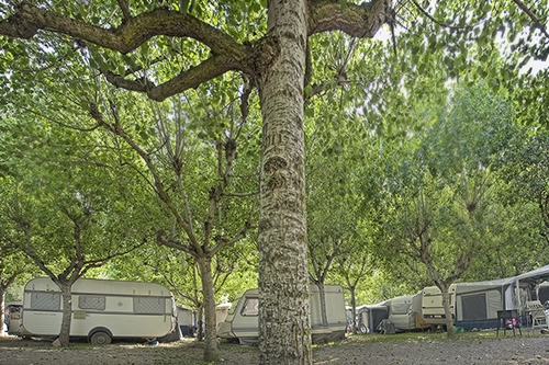 zobacz camping - zdjęcie 18