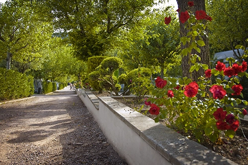 zobacz camping - zdjęcie 13