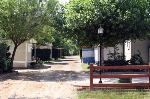 zobacz camping - zdjęcie 10