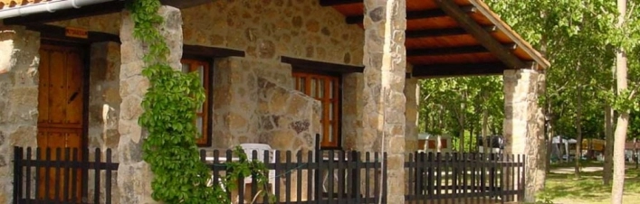 zobacz camping - zdjęcie 19