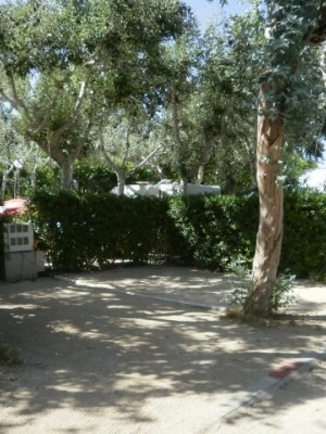 zobacz camping - zdjęcie 9