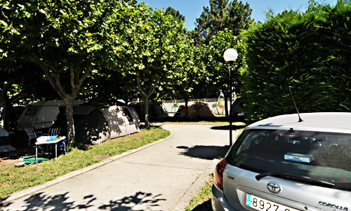 zobacz camping - zdjęcie 24