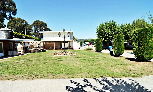 zobacz camping - zdjęcie 18