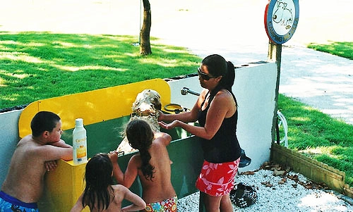 zobacz camping - zdjęcie 12