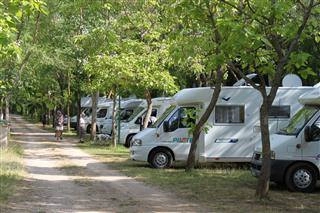 zobacz camping - zdjęcie 31