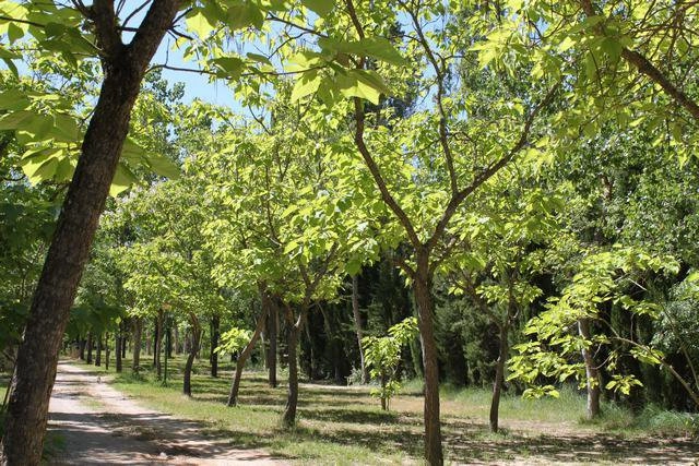 zobacz camping - zdjęcie 3