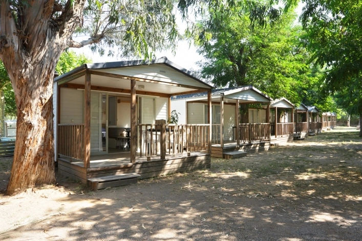 zobacz camping - zdjęcie 4