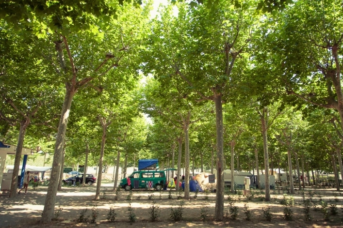 Camping Riu - zdjęcie 1