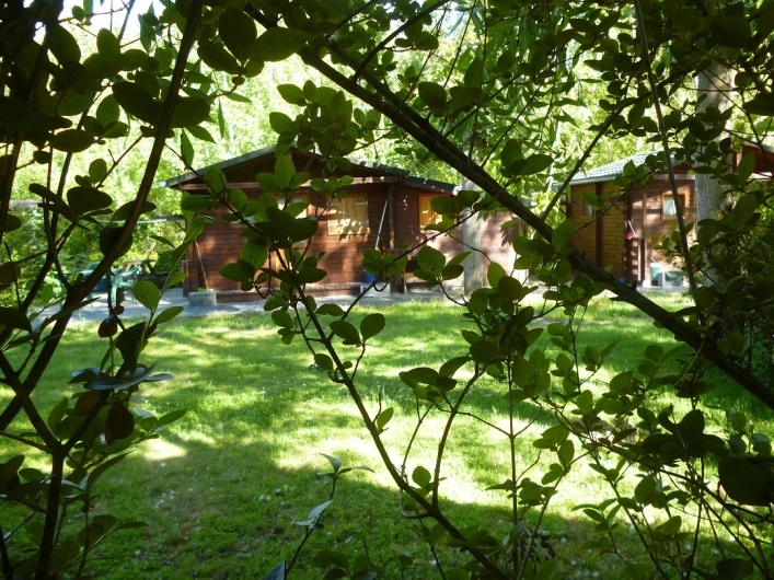 zobacz camping - zdjęcie 4