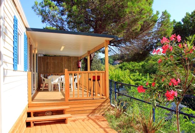 zobacz camping - zdjęcie 33