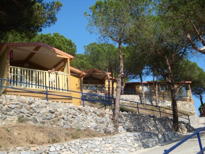 zobacz camping - zdjęcie 18