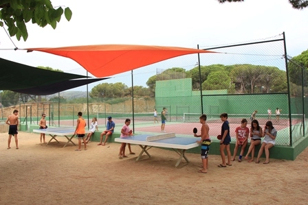 zobacz camping - zdjęcie 17