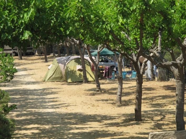 zobacz camping - zdjęcie 9