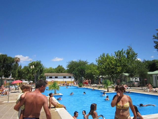 zobacz camping - zdjęcie 17