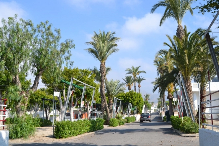 zobacz camping - zdjęcie 29