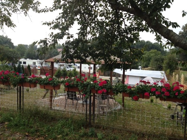 Galeria zdjęć - zdjęcie 8