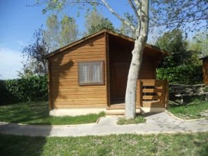 zobacz camping - zdjęcie 7