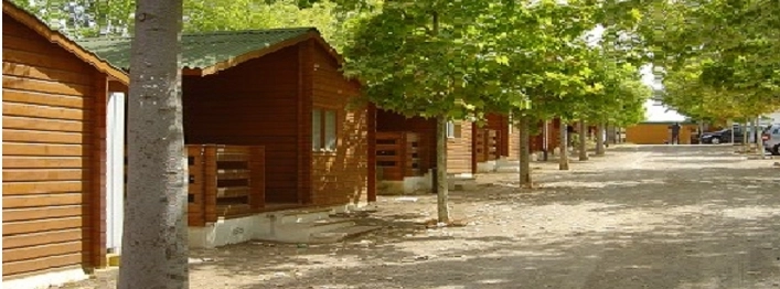 zobacz camping - zdjęcie 5