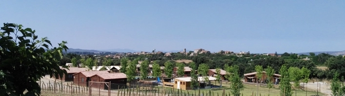 zobacz camping - zdjęcie 12