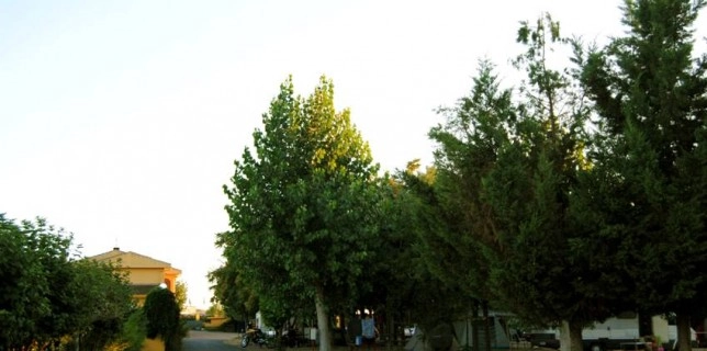 Camping Ruta De La Plata - zdjęcie 3