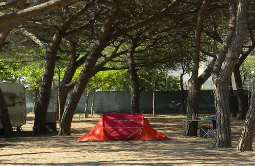 zobacz camping - zdjęcie 6