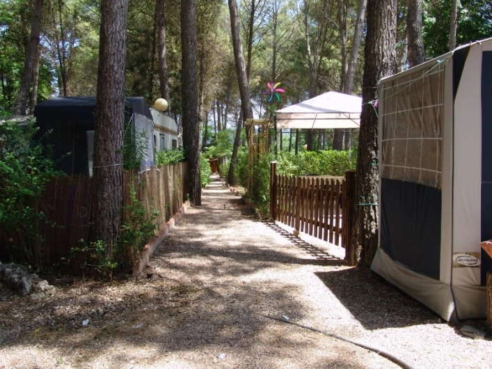 zobacz camping - zdjęcie 9