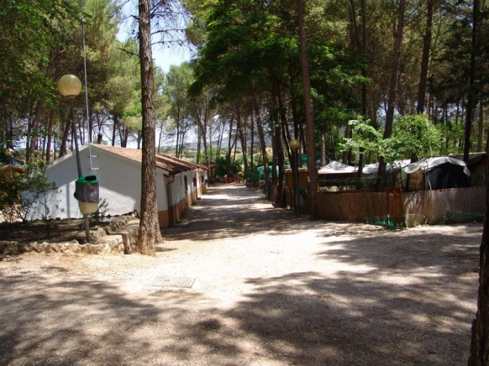 zobacz camping - zdjęcie 6