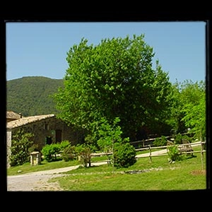 zobacz camping - zdjęcie 8