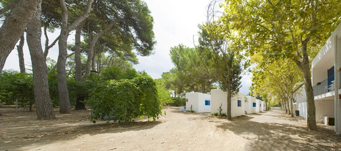 zobacz camping - zdjęcie 21