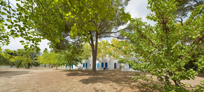 zobacz camping - zdjęcie 20