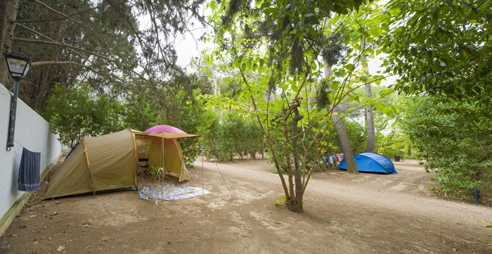 zobacz camping - zdjęcie 18