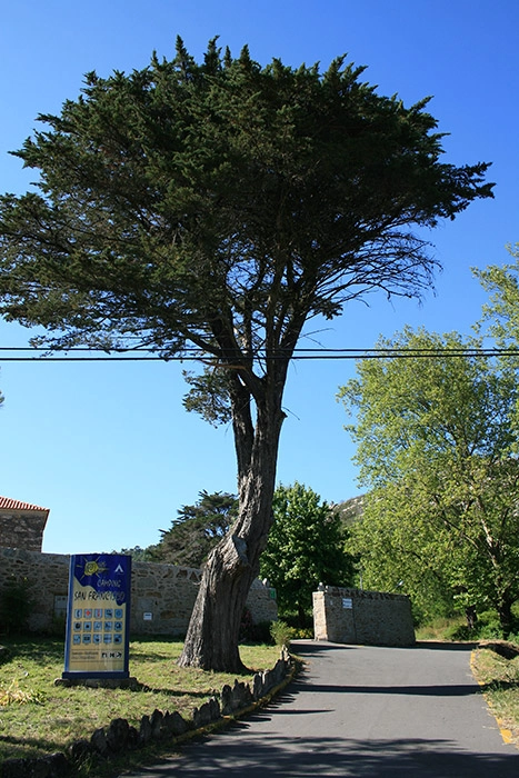 zobacz camping - zdjęcie 9