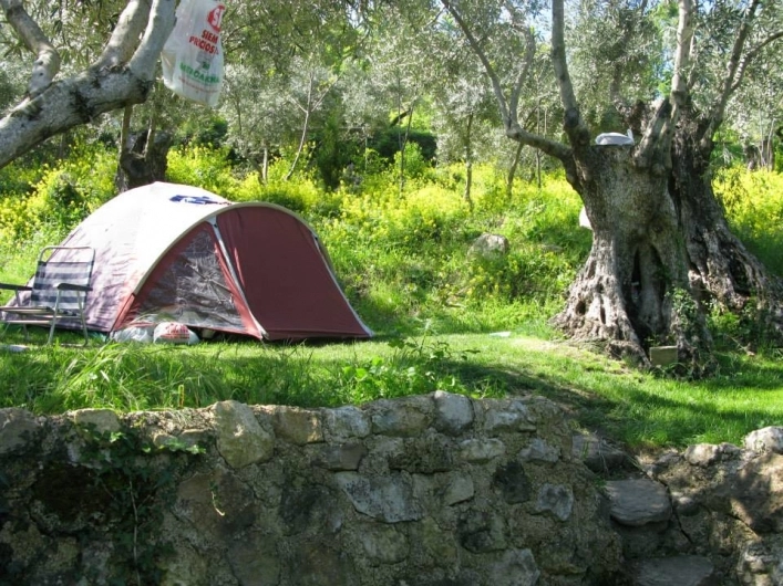 zobacz camping - zdjęcie 14